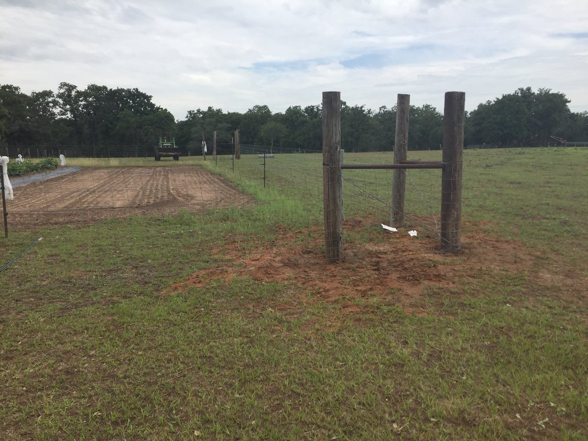 Mtchp12's tweet photo. South Texas heat is intense but so is this fence and the garden that’s in it. https://t.co/Vca94xthw6