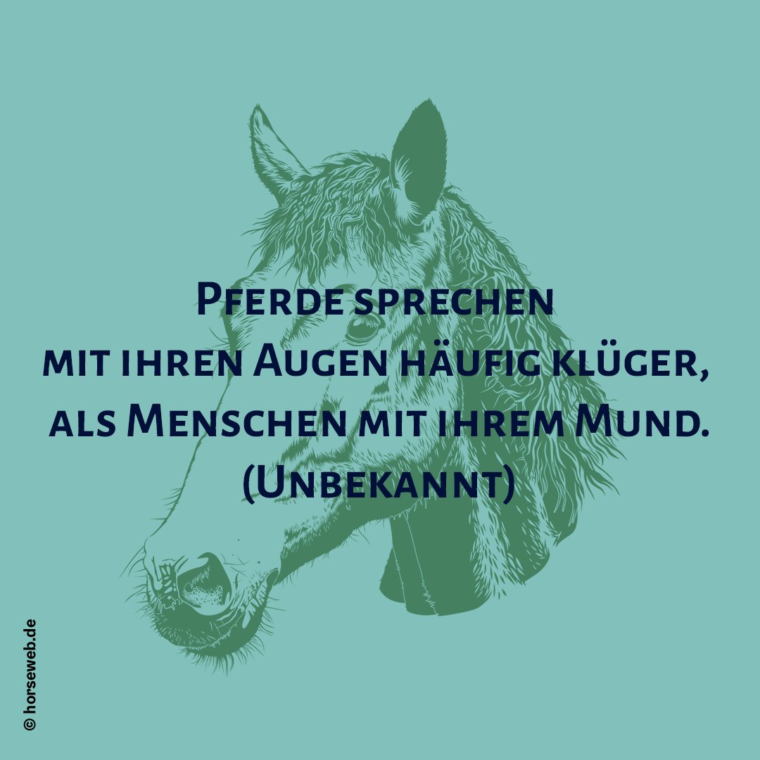 Get Pferde zitate For Free