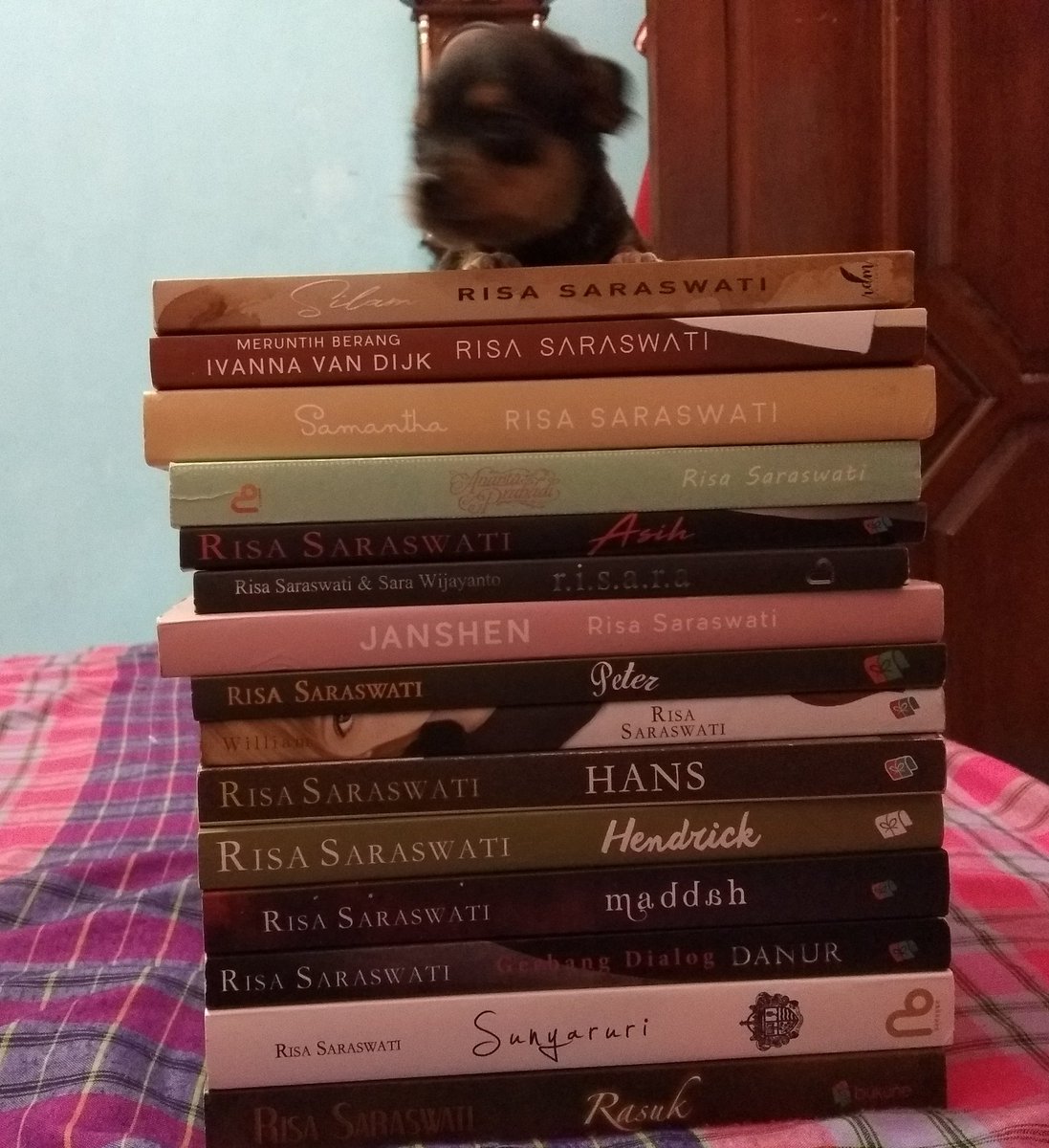 Halo teh Risa, saya salah satu orang yg sangat mengidolakan teh Risa dan teh Risa membuat saya hampir tidak takut lagi melihat "mereka". Saya sudah baca semua buku teh Risa, ditunggu buku selanjutnya ya teh Risa <a href="/risa_saraswati/">risa saraswati</a>