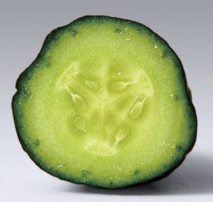 すべてのカタログ ここへ到着する きゅうり の 断面