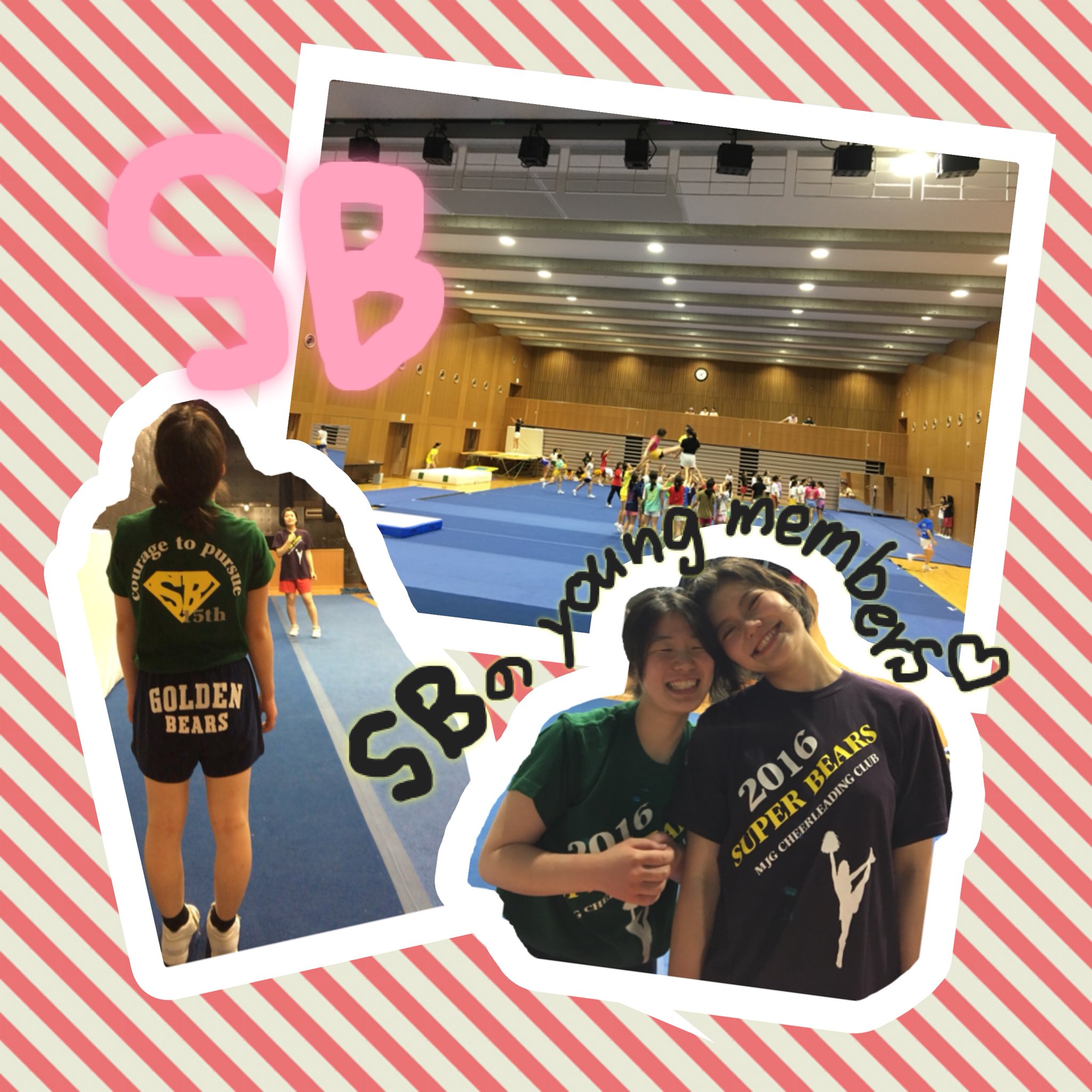 Super Bears Cheer Sb Twitter