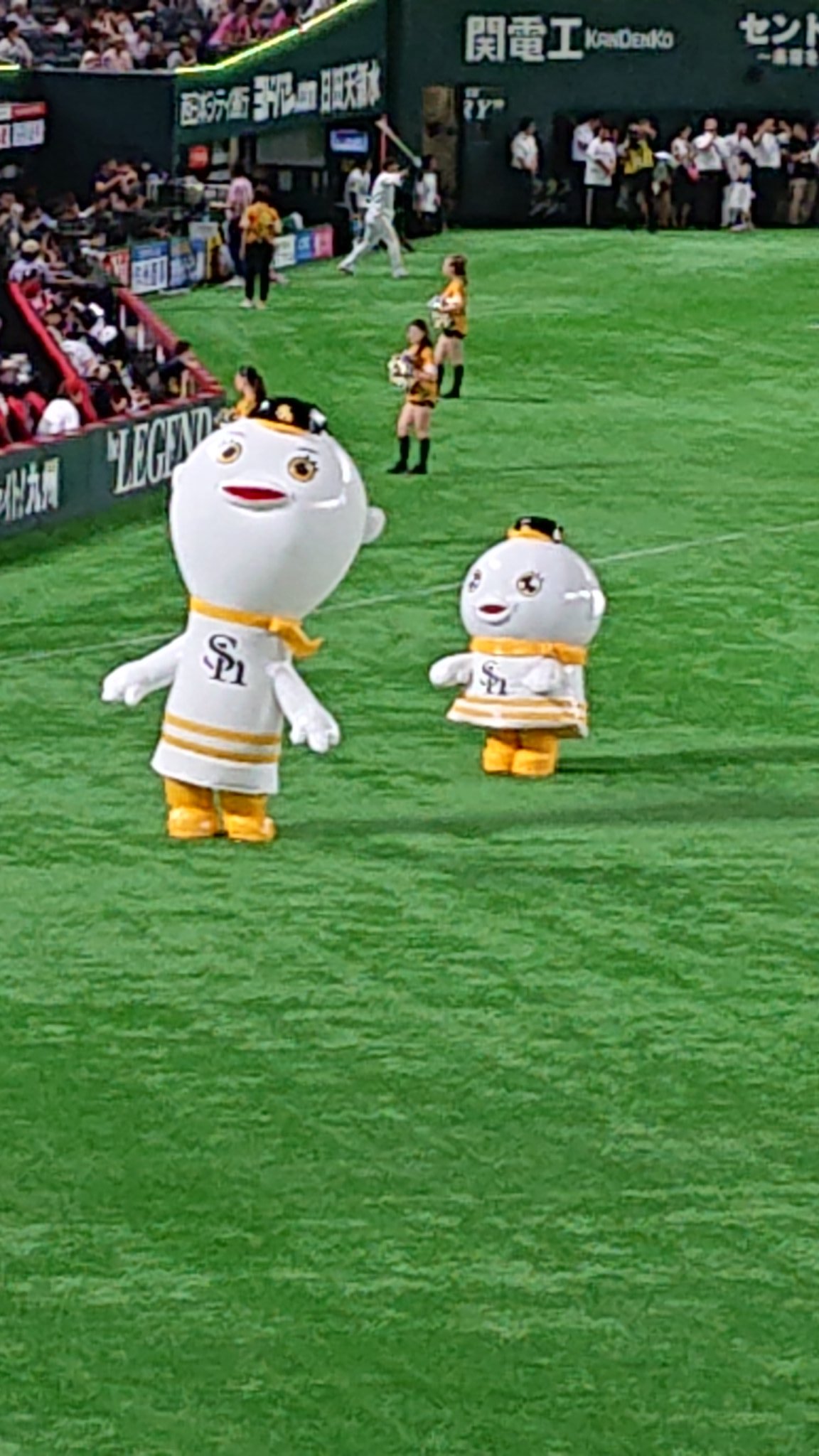 Kawa Chan 今日はヤフオクドームで野球観戦ー とろサーモンがゲスト で とろサーモン撮ってたらふーさん に乱入された なので ふーさんも撮ってみました 笑 ヤフオクドーム ソフトバンクホークス とろサーモン ふーさん T Co