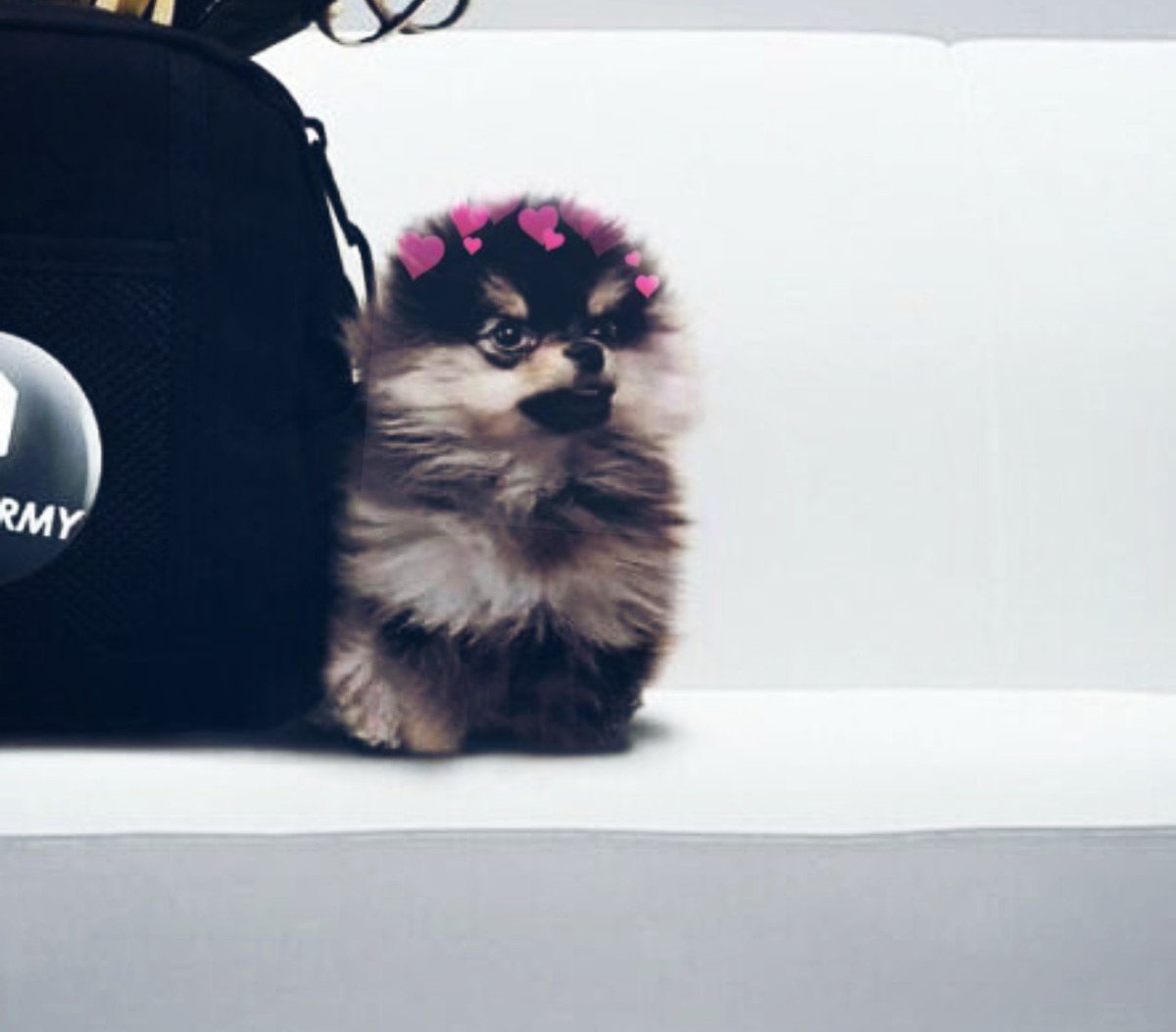 300618  
            ᴡᴇʟᴄᴏᴍᴇ ᴛᴏ ᴛʜᴇ ғᴀᴍɪʟʏ ᴍᴀᴋᴋɪ 🐶

En el día de hoy le damos la bienvenida a nuestro hermoso cachorro Makkitan. Mi pequeño Nicoláz está muy feliz de tener un cachorro en casa.