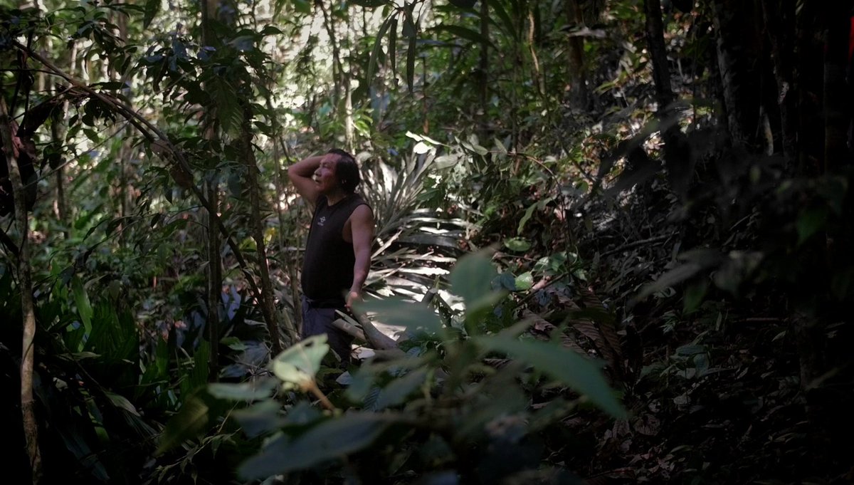 amazonwatch's tweet photo. These are scenes from 'The Last Guardians', a new film that offers a unique insight into the way that indigenous people live and see the world, and a warning of what the world stands to lose if their rights and beliefs are not respected. 
Watch here: https://t.co/Y8sDnEzUZG https://t.co/9PiKfpSHEx