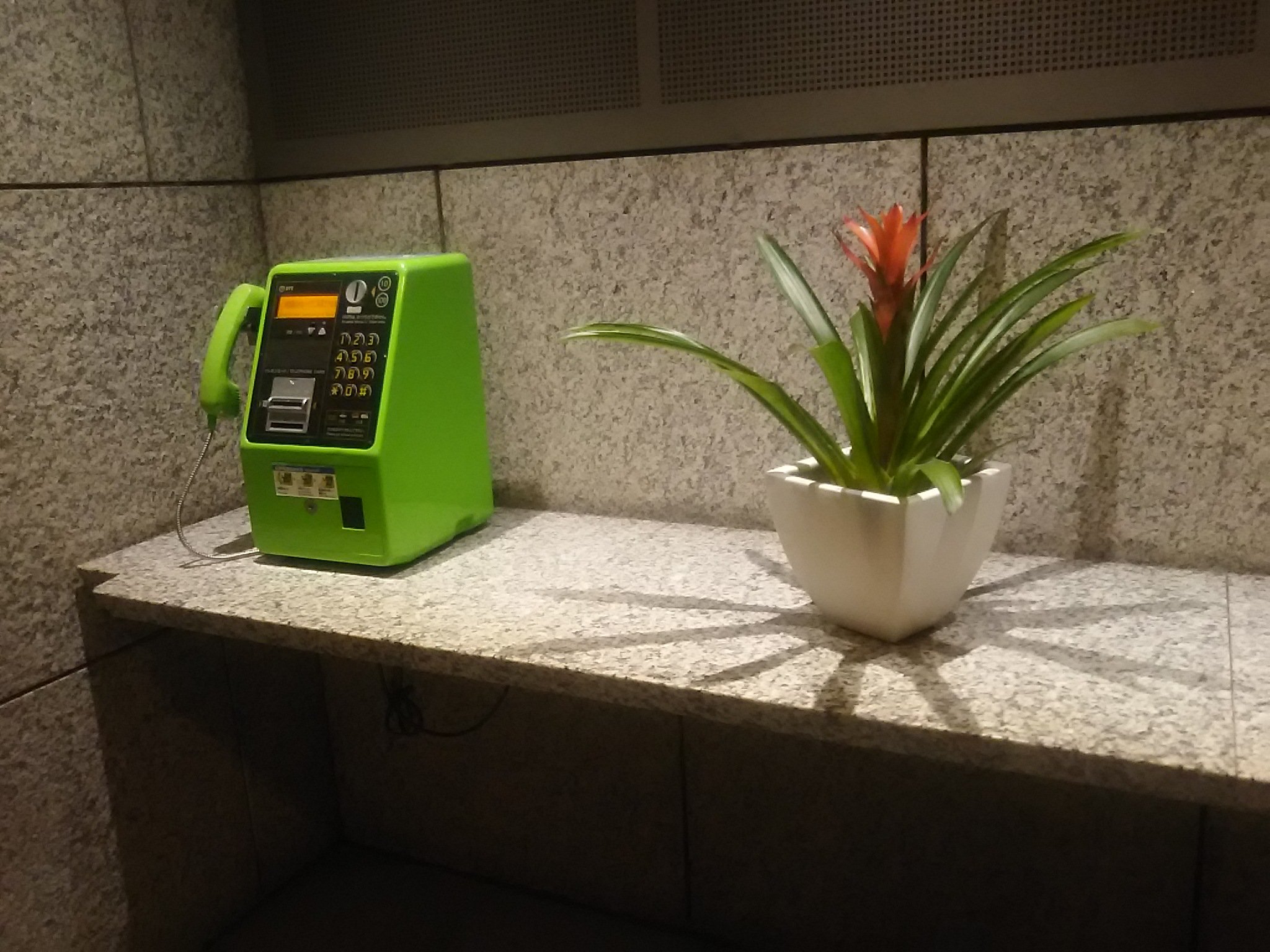 黒織部 電話が花に化けた東京オペラシティの 無用公衆電話台 T Co N0rccg9ql1 Twitter