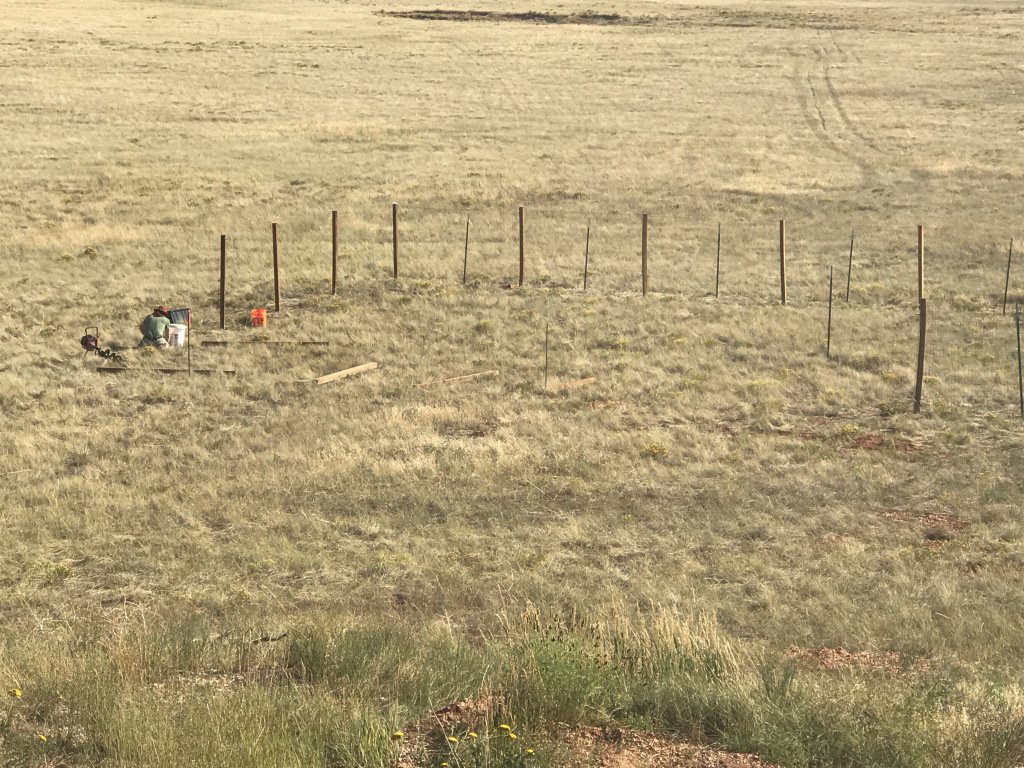 BareDPT's tweet image. I’m Back! thehighplainshomesteaders.com/2018/06/24/im-…