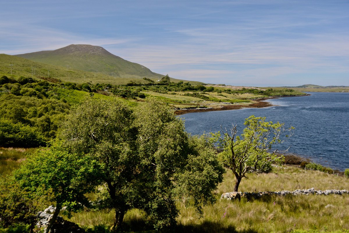 mogobriain's tweet photo. Walked the section of #GreatWesternGreenWay between #Mulranny and #AchillIsland this afternoon through a most pleasant landscape - upgrading this old railway line has provided a  super outdoor off-road experience on foot or bike - bringing people close to nature #WildAtlanticWay https://t.co/8ZG7zY6ZPA