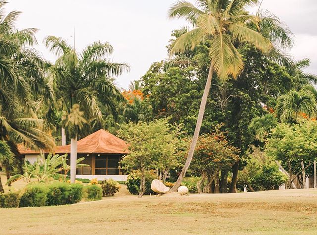 dm_atwood's tweet image. Living the island life🌴
•
•
•
#dominicanrepublic #travel #travelblogger #travelphotography #travelling #traveller #wanderlust #abmlifeiscolorful #love #aboutalook #explore #island #islandlife #adventure #beach #trees #nature #naturephotography ift.tt/2yBdxbM