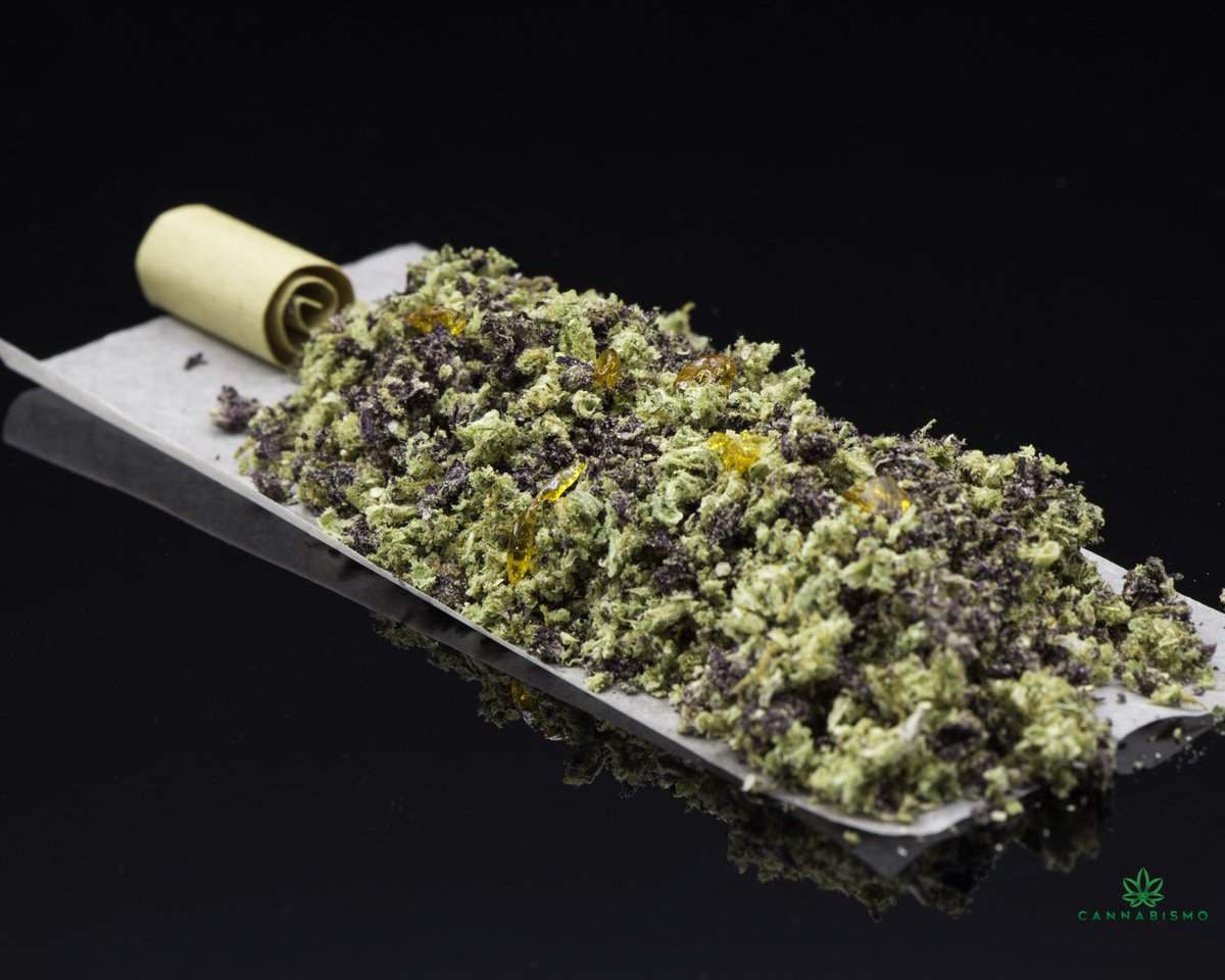 officialcbismo's tweet photo. Have You Ever Seasoned Your Joints with #Shatter ?  

Get your Soil 2 Oil Shatter at https://t.co/V3nI3HIWl2

#BuyWeedOnline #BCBuds #cannabiscommunity #stonerlife #weedcanada #cannabissociety #dabsforlife #shatterlife #710 #710life #vapelife #buyconcentratesonline  #Shatterday https://t.co/KmGOYYtwcf