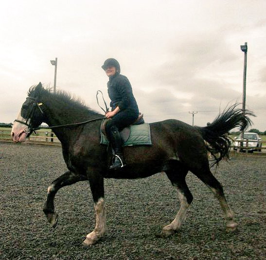helmslou's tweet photo. Me and my beautiful bestie!!! Hacking and schooling on a sunny day!!! #HorseRiding #horseaddict #horseslove #showjumping #horsesofinstagram #horsemad #ridingfun #jumping #horseandrider #ridingfor25years itโs my sport โค๏ธX https://t.co/STp8t0bj2o