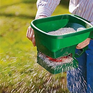 turfqld's tweet image. FYI. when fertilising keep an eye out for approaching wet weather as fertiliser requires a good soaking so as not to burn the grass and soak in for longer term benefit.