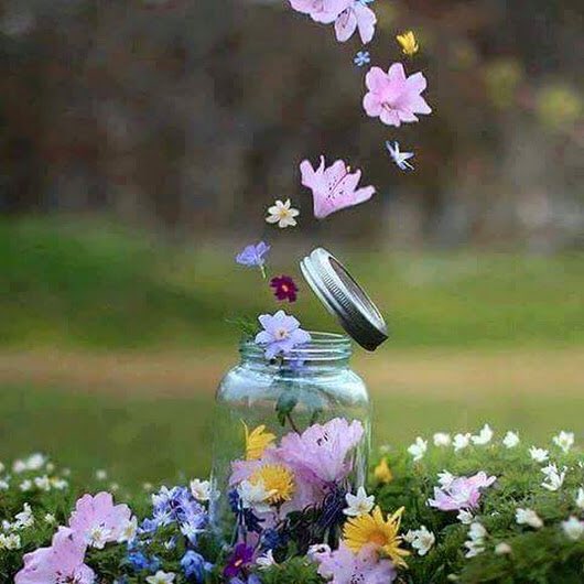 mmshaer's tweet photo. 🍃
.
#قيل
لن تنضج إلا بعد أن تشعر أن لديك الكثير من #الكلام، ولكنك لستَ في حاجة إلى أن تخبر به أحدًا
.
🍃 https://t.co/XhHcF0ZPKl