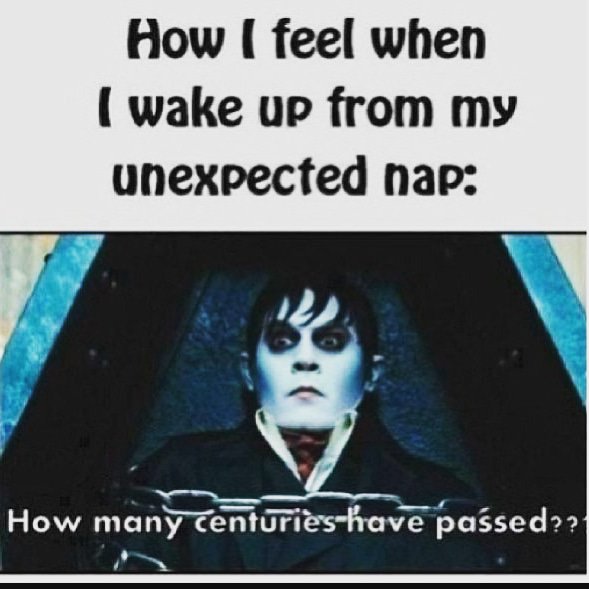 TvChuckleheads's tweet photo. Well I'm off for my nap now. Night everyone Tobey!

#subscribe #sub4sub #subs #subforsub #supportsmallyoutubers #youtuber #youtube #youtubers #help #likeforlikes #likeforfollow #likes #youtubesubscribers #youtubesubscribe #love #video  #funnyshit #funny #hilarious #memes #meme https://t.co/ElFh9YLgTg