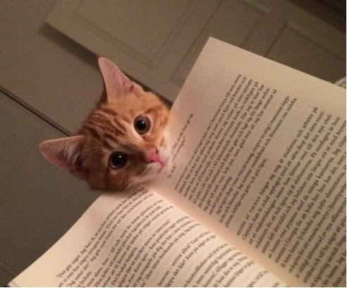 #iamreading
