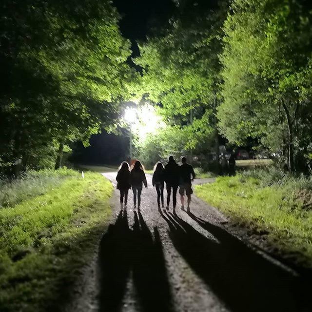 Des Biches 🦌 dans la nuit de @bichesfest ift.tt/2K3fe7i