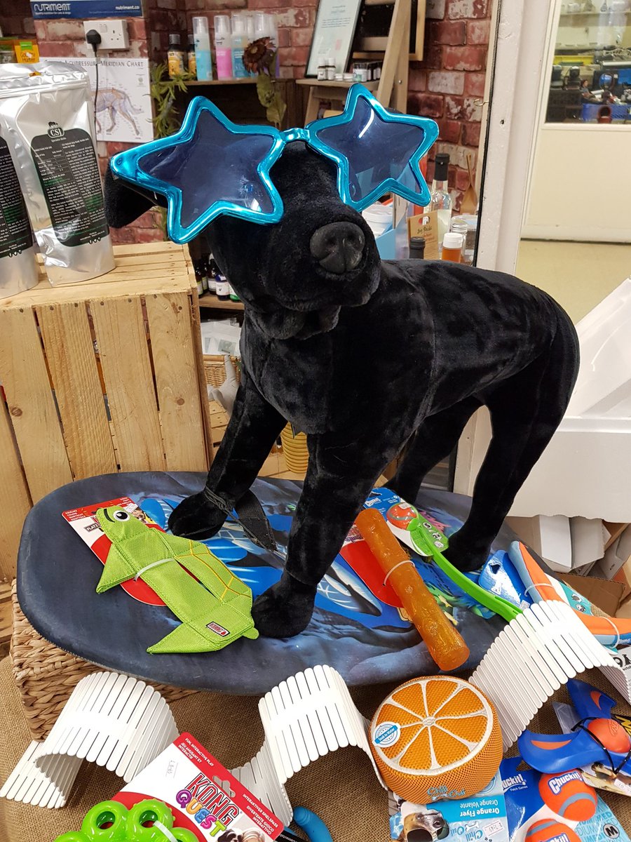 DurhamDogCare's tweet photo. With the heat back next week....its time for Frozzys, Cooling jackets, mats and toys to keep the furry ones cool! Pop into the shop to check out our range. 10% discount on cooling jackets until end of July, while stocks last! https://t.co/SbTUOAn8Q9