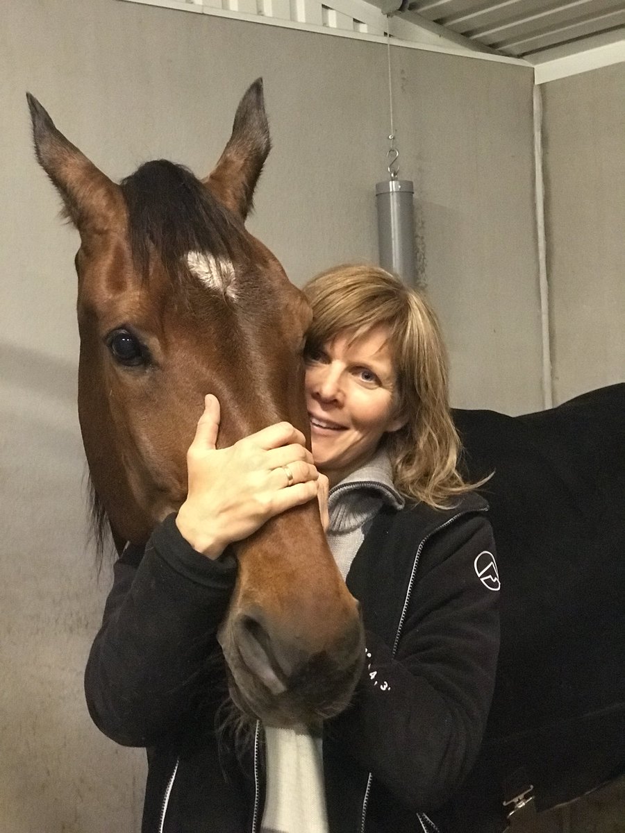 Verdens beste Bonjovi B.R. vant overlegent på Bodø Travbane i dag😍