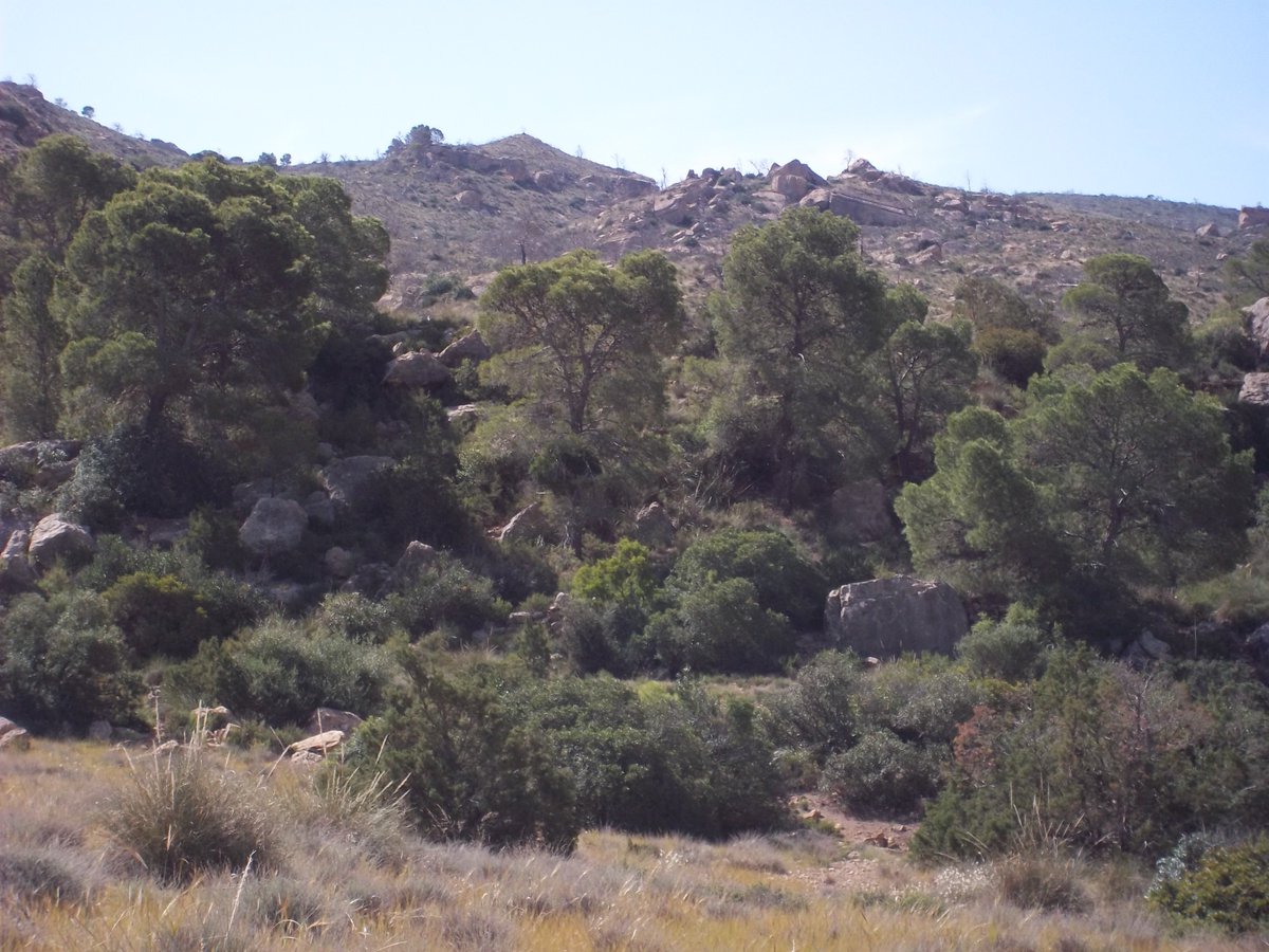 SmidaSamali's tweet image. أهلا بكم من جديد نواصل معكم نشر ,صور من طبيعة ألقصرين تونس.