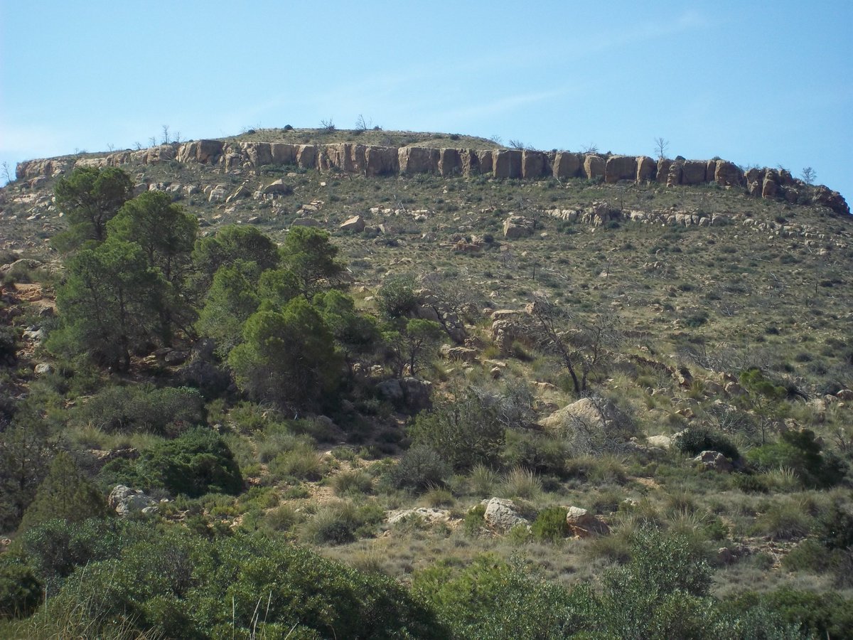 SmidaSamali's tweet image. أهلا بكم من جديد نواصل معكم نشر ,صور من طبيعة ألقصرين تونس.