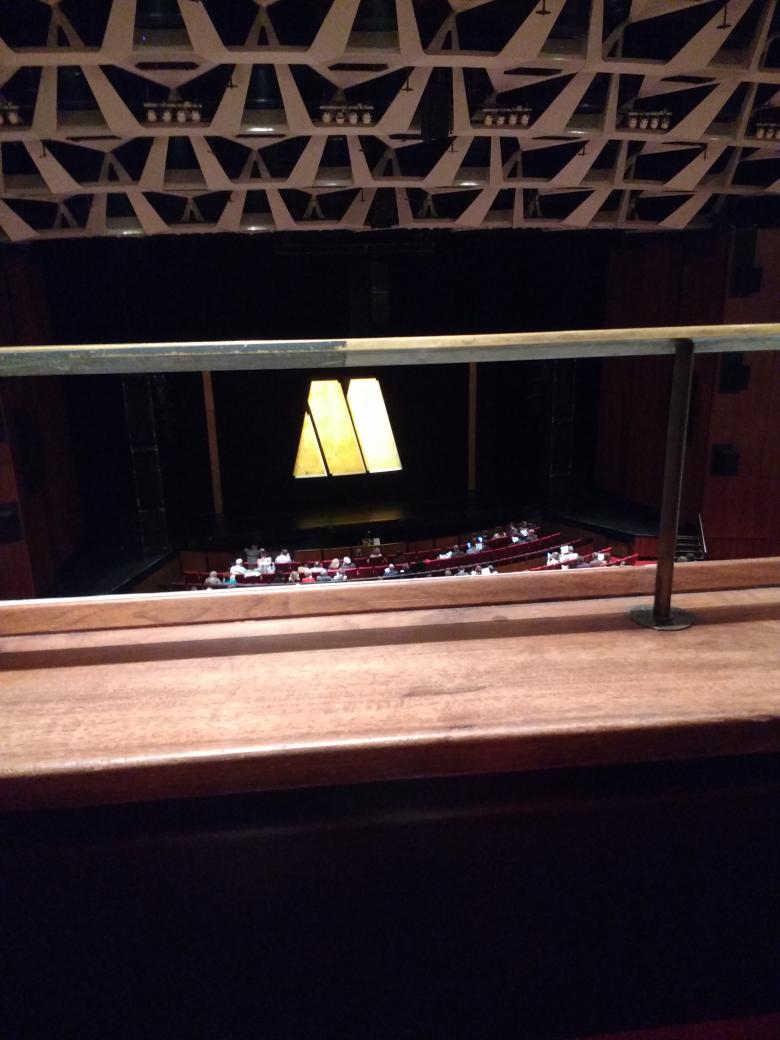 SandyZ8's tweet image. Safety bar right in the line of vision. #PetiteProblems 
#motownthemusical