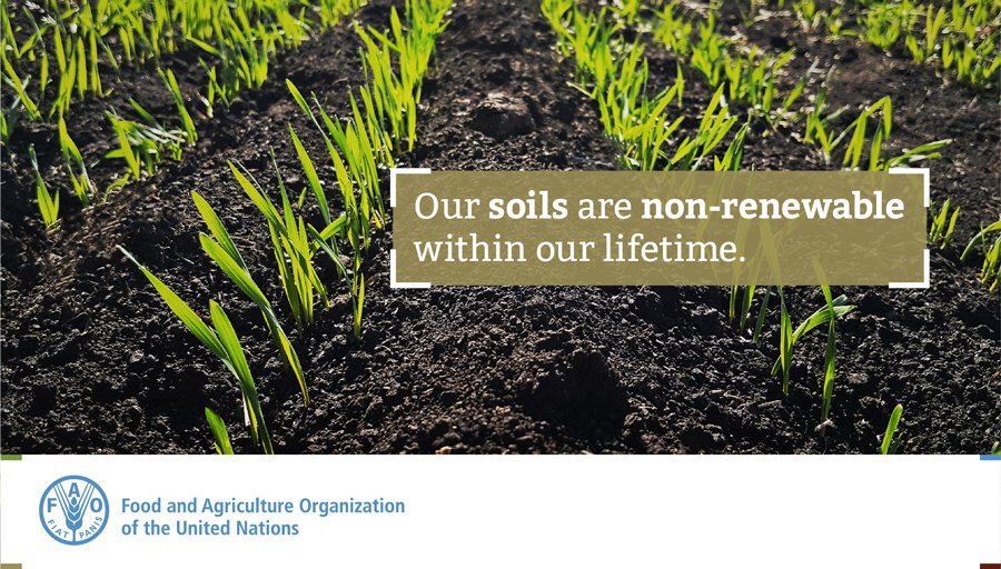 FAO's tweet photo. Soil pollution causes a chain reaction.
It starts with reducing soilsโ biodiversity, which weakens the soil structure and its ability to resist erosion https://t.co/7N00EGyrdm #StopSoilPollution https://t.co/hpL3foITkl