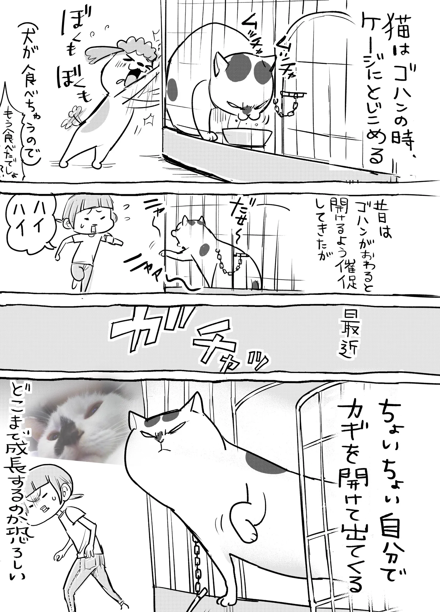 犬と猫の成長ぶりをしみじみ感じる？猫はもはや人間よりすごいかもｗｗｗ