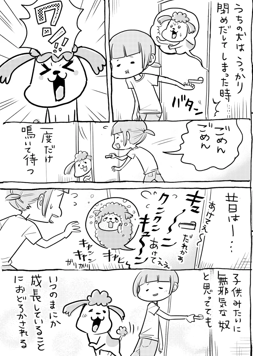 犬と猫の成長ぶりをしみじみ感じる？猫はもはや人間よりすごいかもｗｗｗ
