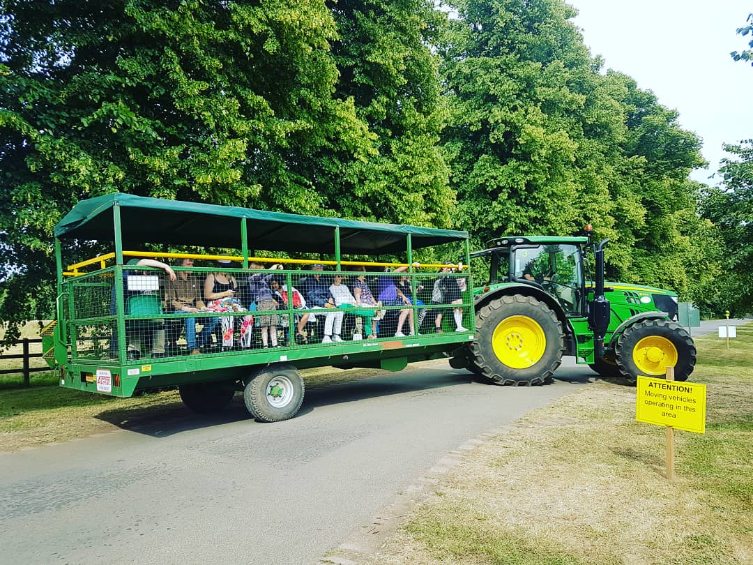 reelofthe51st's tweet image. Great to visit @Rothamsted #FestivalofIdeas today with mum.
Dad was an #agronomist at #Rothamsted for over 30 years &amp;amp; it's where mum &amp;amp; dad met...so we were particularly interested in the #gardenplots &amp;amp; spotted 2 of dad's colleagues in the photo of the small #threshingmachine 😊