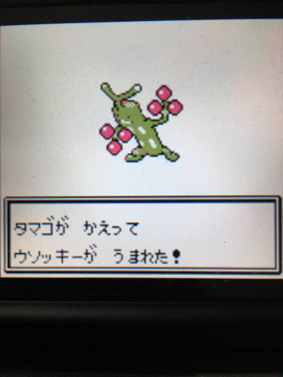 色違いポケモン紹介 Vc産ウソッキー 自由に生きてあそblog