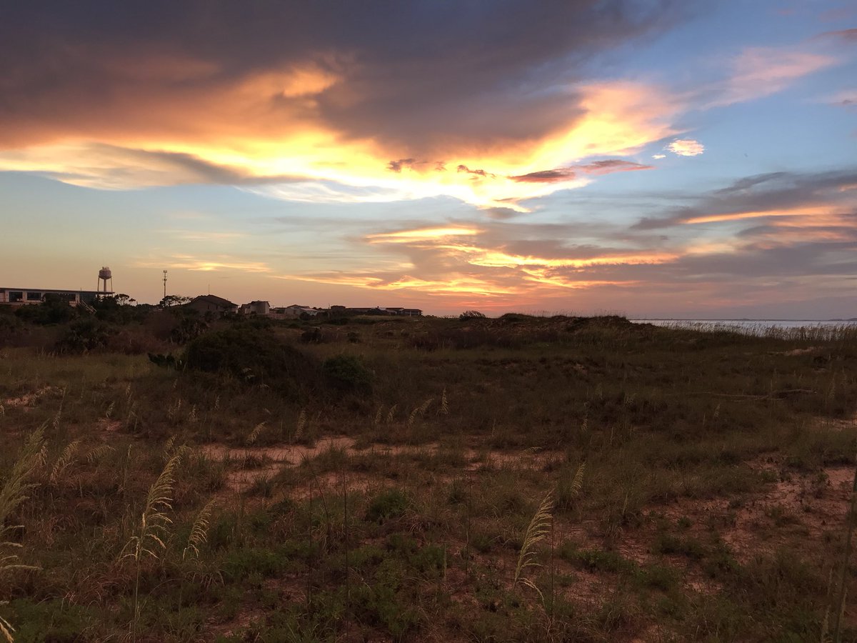 Goodnight Tybee!