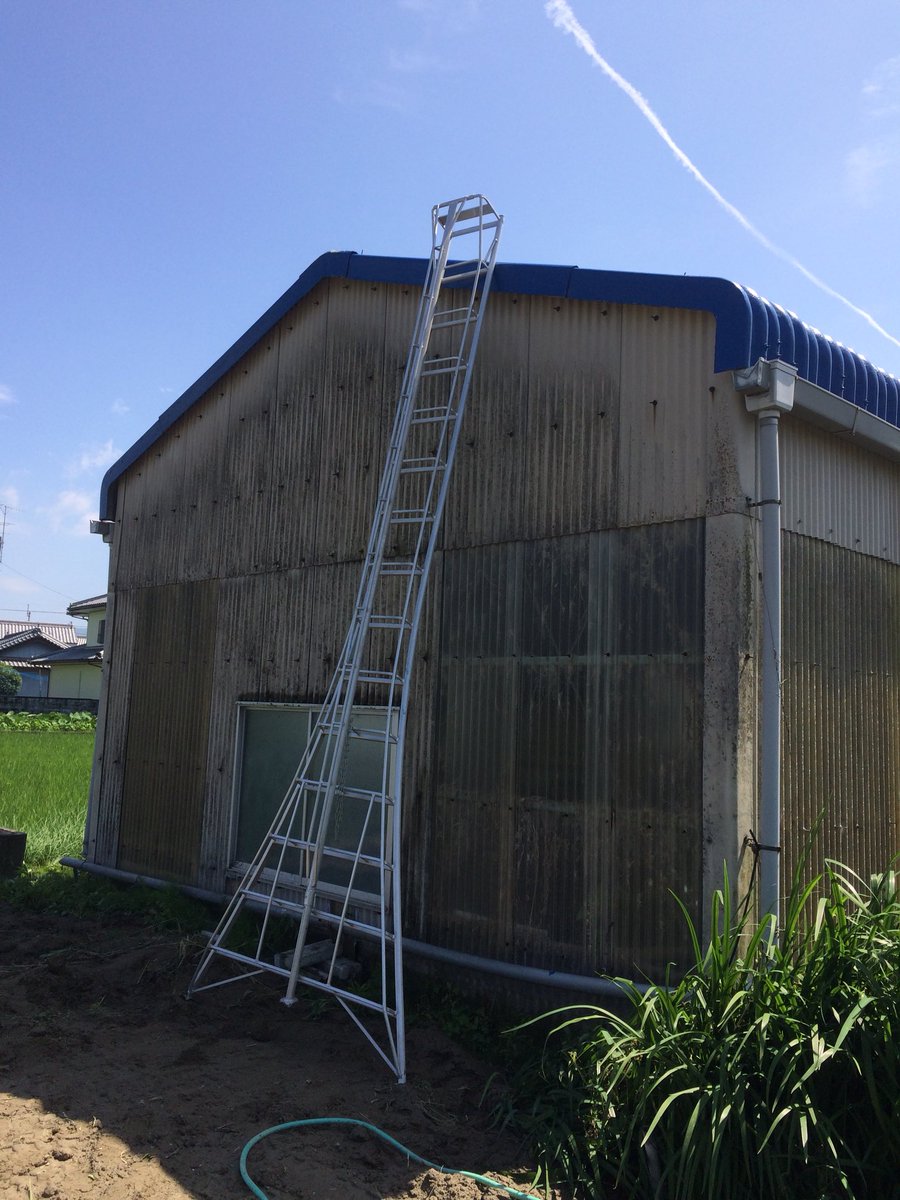 O Xrhsths 造園屋さん Sto Twitter 日曜日 倉庫外壁の塗装します とりあえず清掃から