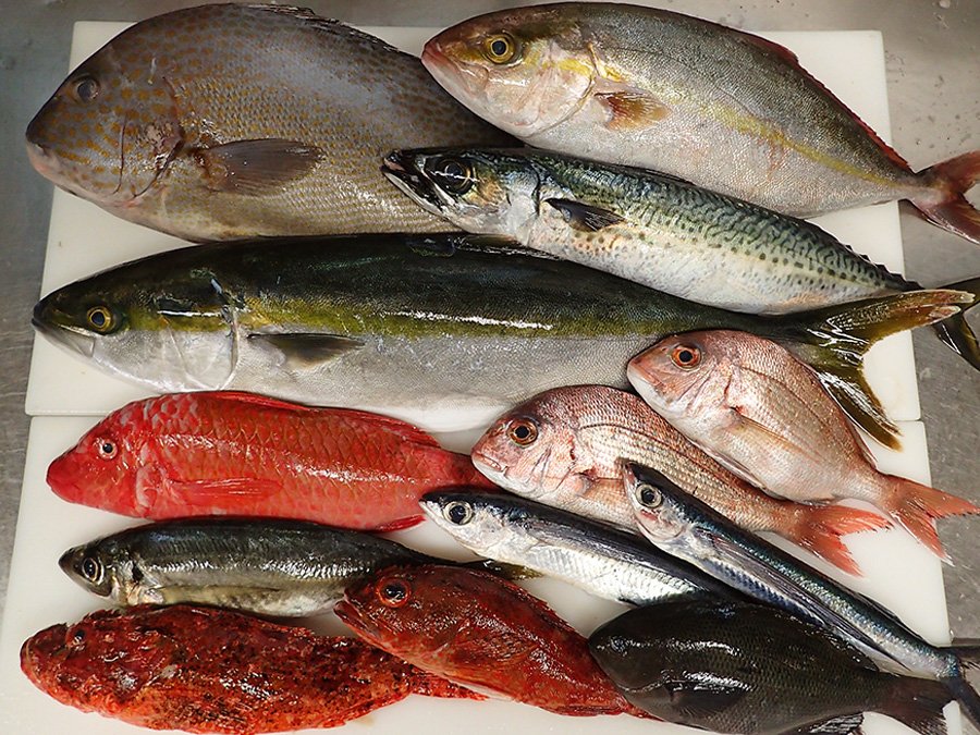 五島列島の魚 hashtag on Twitter
