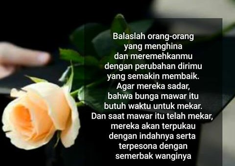 Nijo Nijo23200244 Twitter