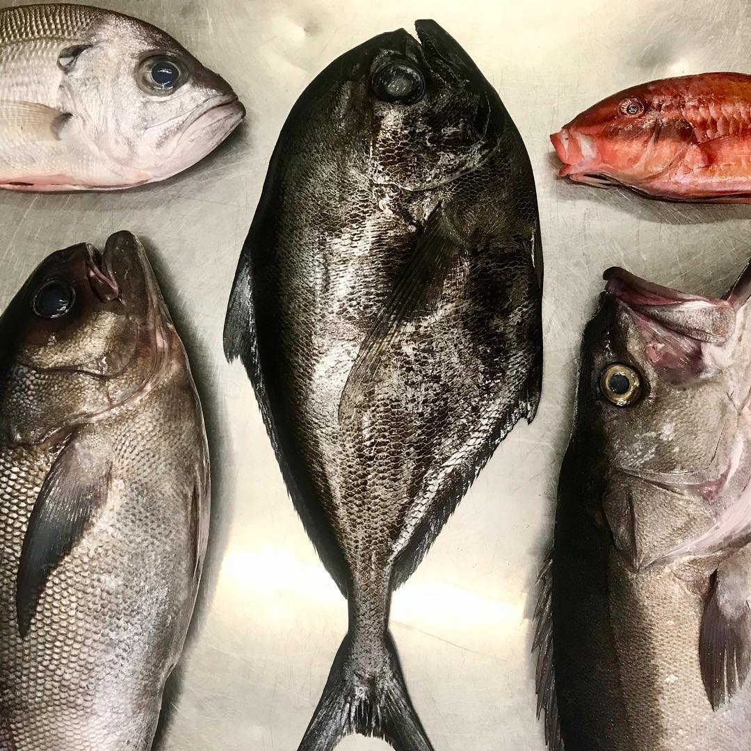 BoathouseSydney's tweet photo. Winter is prime time for all the deep water ooglies! Amazing wild caught fish on the menu now #blueeyetrevalla #pearlperch #raysbream #hapuka #goatfish #BoathouseSydney #ChefColinBarker https://t.co/fR7kDW3B2t