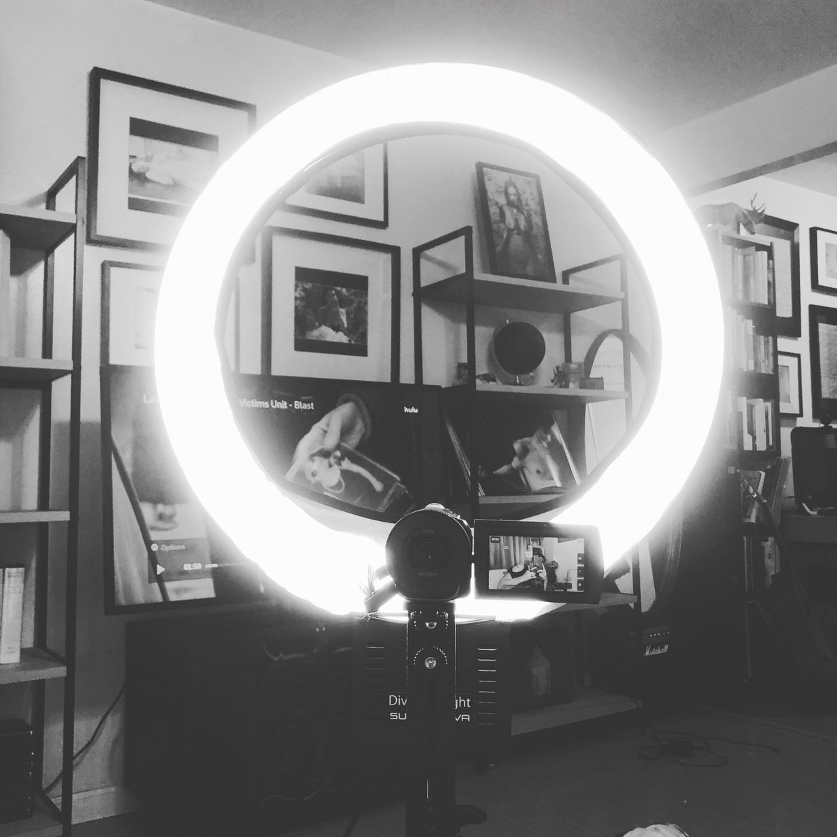 MelanieVesey's tweet photo. View from a podcast. Great chat today with @SovereignSyre about goals, knowing the difference between good &amp; bad fear and that everyone should FINISH THEIR PROJECTS! Link coming soon. #Podcast #RealTalk #DivaLight #Comedy #LA #LAcomedy #LadyBoss #Producer #ObservationsPodcast https://t.co/VtXOsmavCd