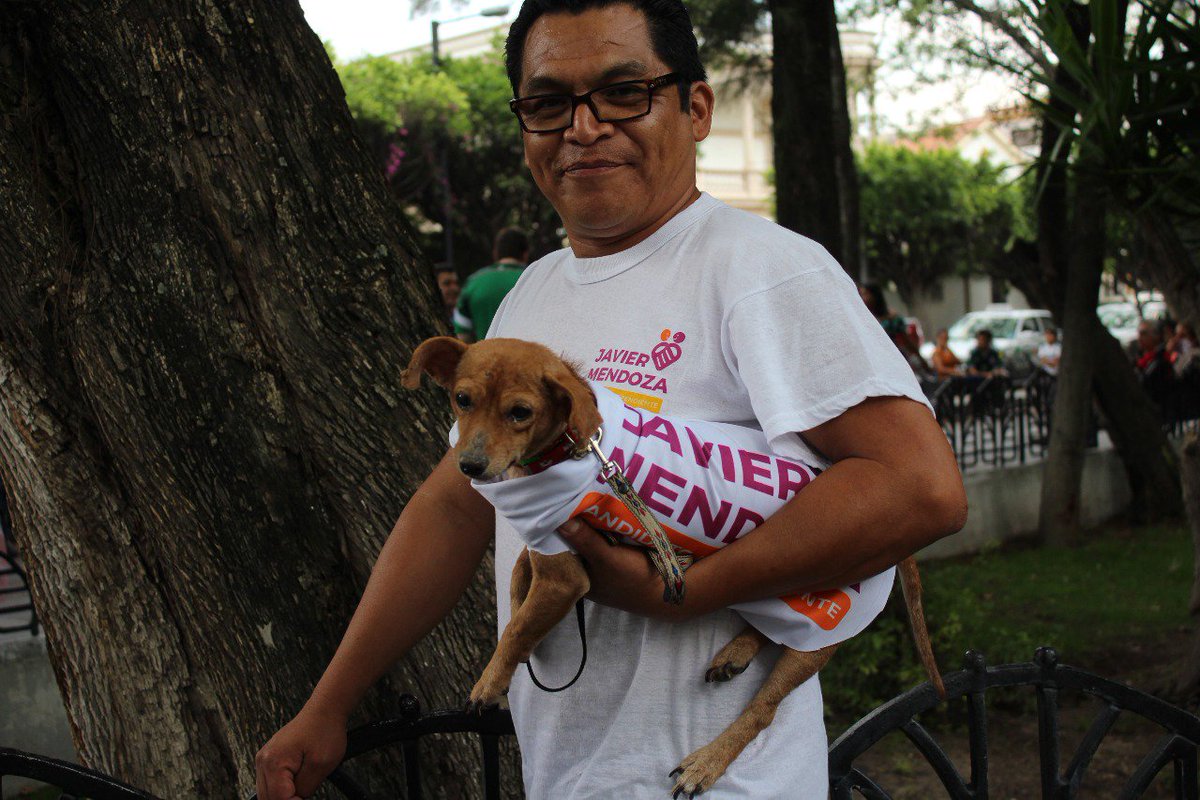 FJavierMendozaM's tweet photo. Como precierre de campaña, este sábado realizamos el Foro de Inclusión en la Alameda Hidalgo,  en donde la respuesta ciudadana arropa el proyecto del nuevo Gobierno Independiente, en este proceso histórico electoral,  ¡la unidad es nuestra fortaleza! https://t.co/JdtGXMy54A