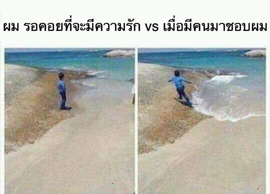 fernnnfernnfern's tweet photo. อีเหี้ย โคตรจริง5555555555555555 https://t.co/lUfmTQag48