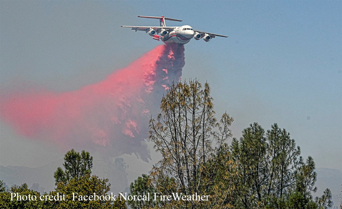 AWillowsDream's tweet image. Retweeted CAL FIRE (@CAL_FIRE):

#LaneFire [update] off Hwy 36 in Paynes Creek (Tehama County) is now 2,000 acres. fire.ca.gov/current_incide…