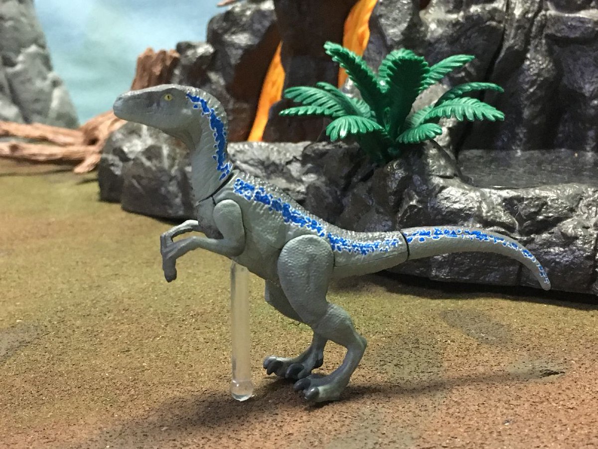 タカ Kom ジュラシック ワールドに登場したラプトル ブルー めっちゃカワイイ メタコレ ジュラシックワールド アニア 恐竜