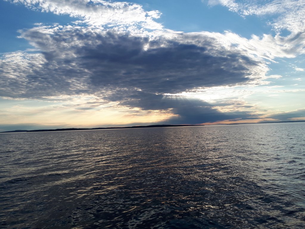 stein23's tweet image. I think a trip extension is in order