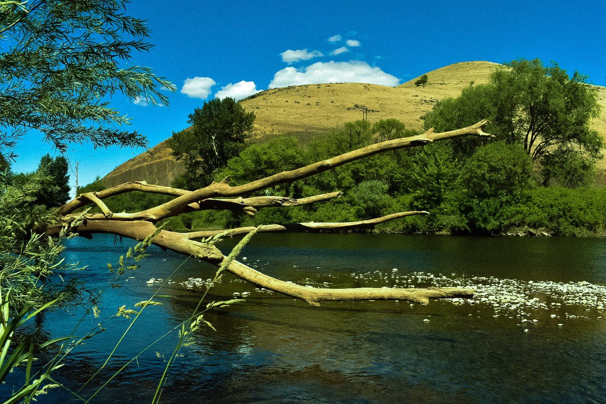Platoesq's tweet photo. Shot both film and digital, today. Film will be developed this coming week, but thought I’d share a digital shot.
Yakima River outside of Selah, Washington.
#digitaphotography #Nikonphotography #Lightroom #ishootdigital https://t.co/Ful7o4vUOt