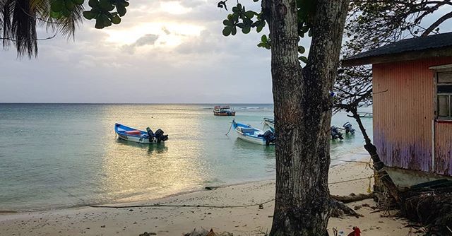 nadyakshah's tweet photo. #Tobago ❤
.
.
.
.
.
#sunset #island #sun #sea #salt #tw #ilivewhereyouvacation #viewTT https://t.co/t1SBOovIOD