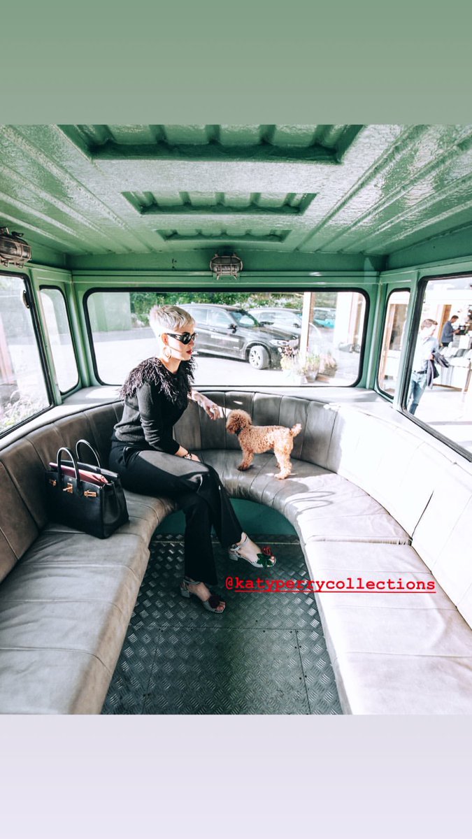 katyspicscom's tweet photo. PHOTO | @katyperry and Nugget in Oxford, England on June 20 https://t.co/vwjHom2HxH