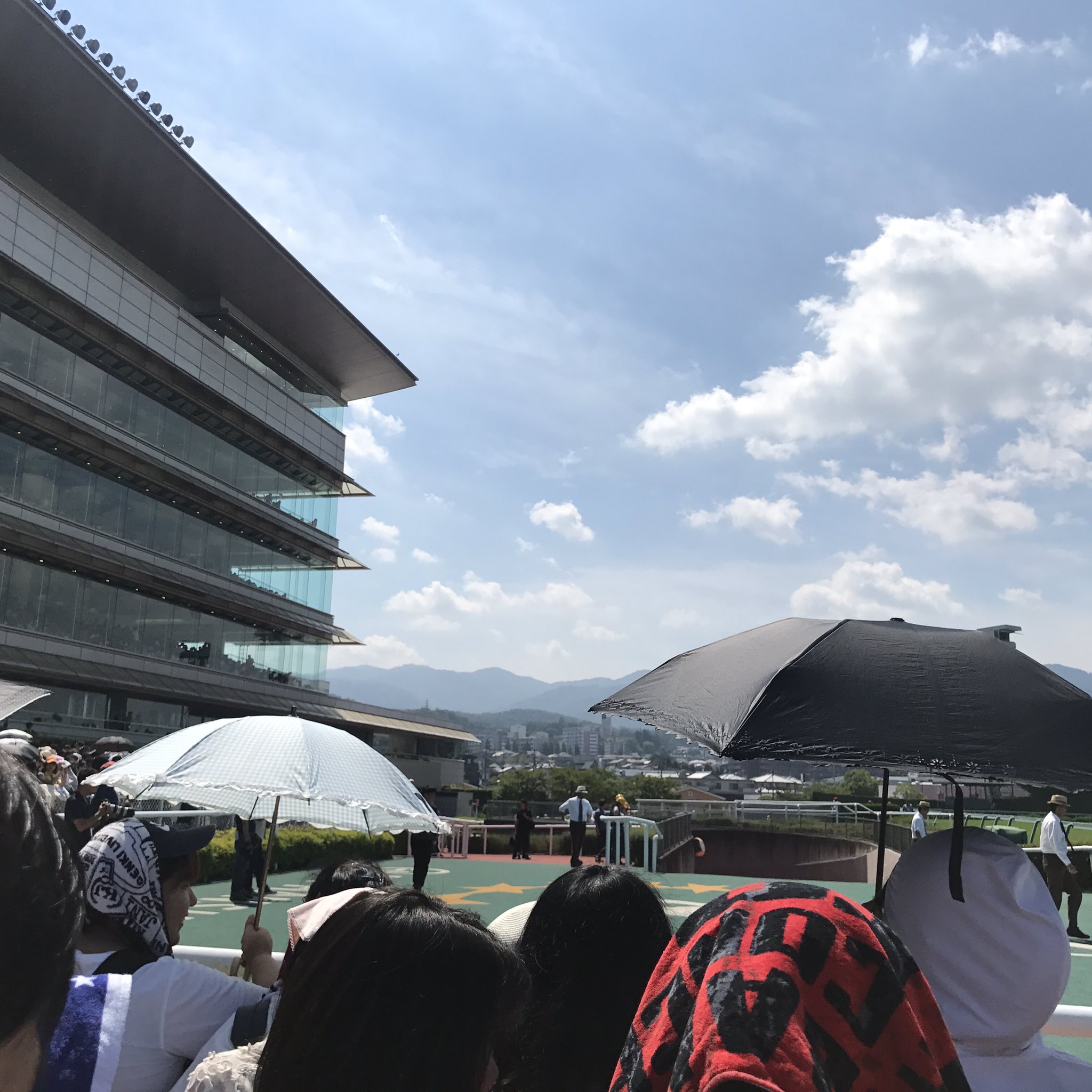 すばひな Subahina Twitter