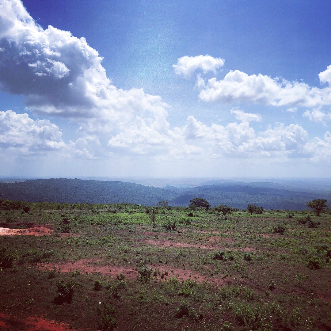 contechke's tweet image. Upcoming housing project in Kwale. 2x20’ studio overlooking Shimba Hills

#livingspace #containerart #futureismodular #plugandplay #contech