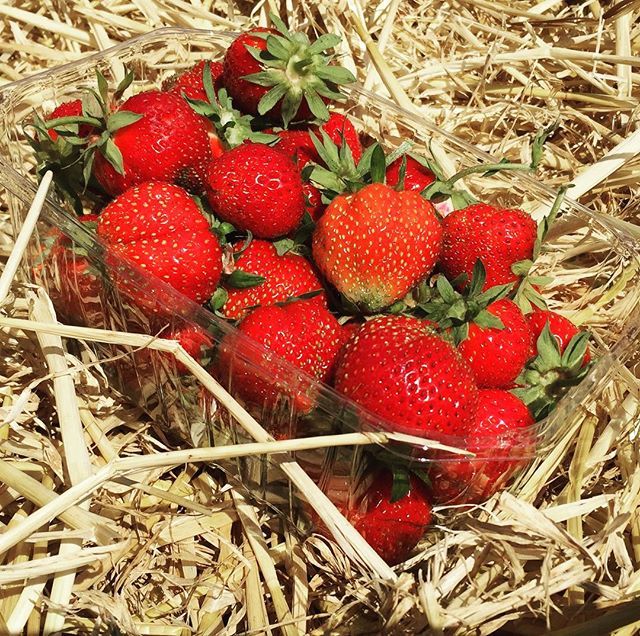 datenightdiner's tweet photo. British summertime has started!
.
.
.
#pyo #summertime #strawberryfields #eatlocal #supportbritishfarmers #yum https://t.co/REHEw3wp0C British summertime has started!
.
.
.
#pyo #summertime #strawberryfields #eatlocal #supportbritishfarmers #yum British summertime has started!
… https://t.co/jcTsYIpi0J