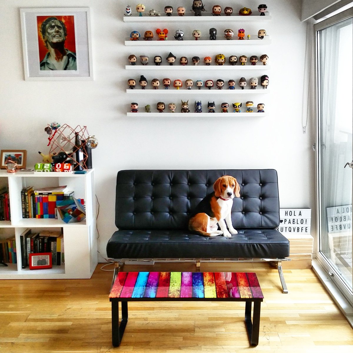 PabloOfGlasgow's tweet image. The hooman keeps telling me to get off the #barcelonachair. But I like it. I'm just gonna pretend not to hear him.
#beagle #beaglepuppy #PuppyPower #puppiesmakeglasgow #puppiesofcalton #instapup #instadog #houndsofcalton #selectivehearing #funko #funkopop #funkolife