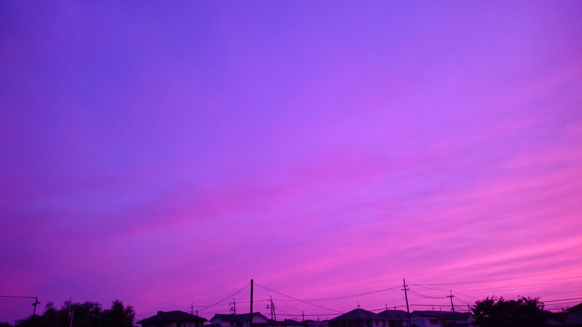 紫の空