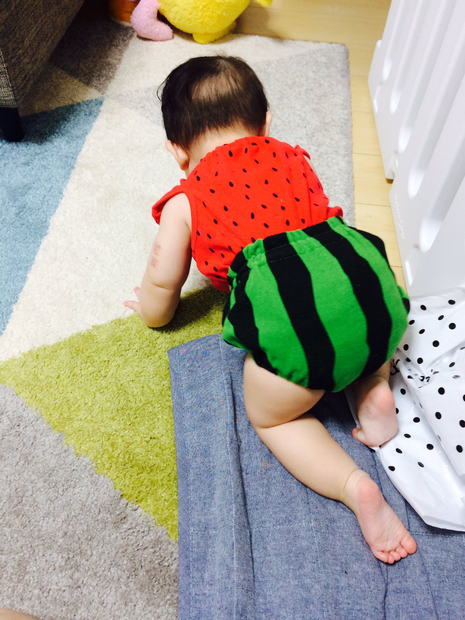 虹色ピーナッツ 西松屋で買った服かわいい 西松屋 スイカ 赤ちゃん T Co 6xak0hcxmq Twitter