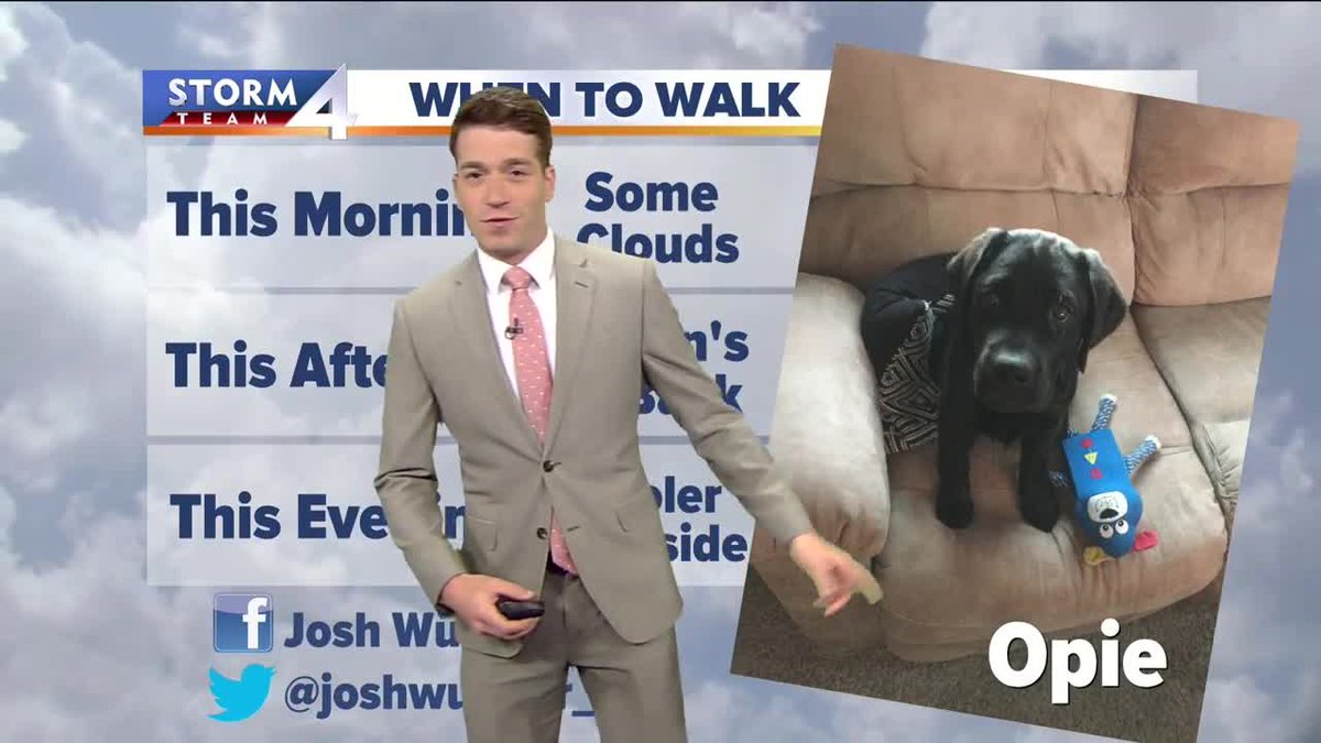JuliaFello's tweet photo. Best time to walk the dog? ALL DAY! #WhentoWalk Little "Opie" should be so happy! :) https://t.co/SXXXh0hxFp